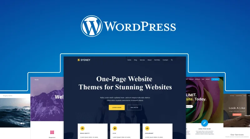 Website WordPress Profesional